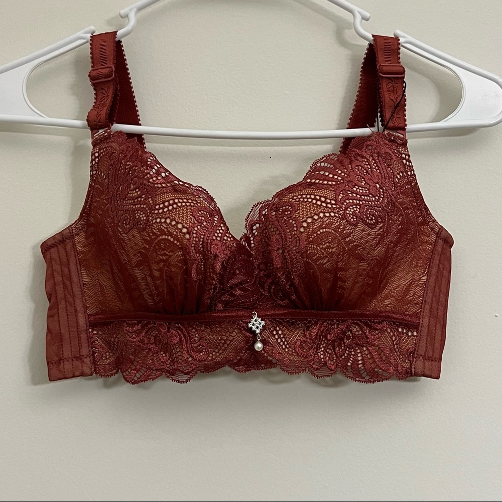 Orlinas New With Tag Dark Red Push-Up Bra